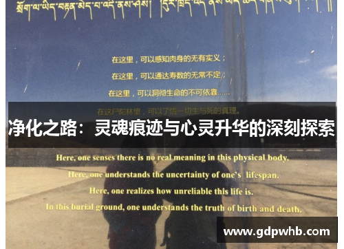 净化之路:灵魂痕迹与心灵升华的深刻探索 净化之路:灵魂痕迹与心灵升华的深刻探索